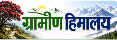 India Hawk Times